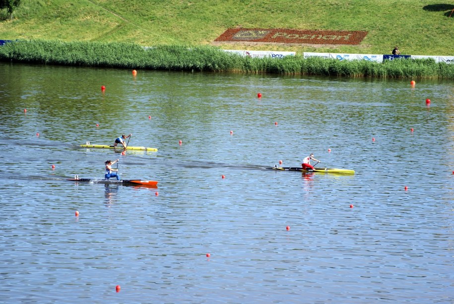 /Uniwersytet Przyrodniczy w Poznaniu