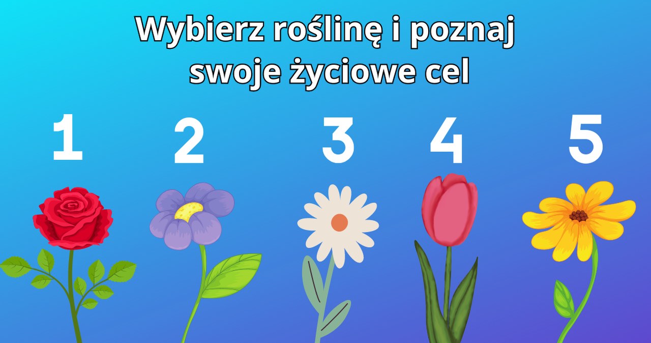 Psychotest: Co wydarzy się w twoim życiu? Wybierz roślinę i sprawdź to!