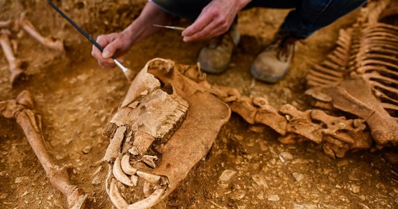 Francuscy archeolodzy odkryli dziewięć dużych grobów zawierających szczątki koni sprzed nawet 2000 lat. Znalezisko zostało określone jako "tajemnicze i niezwykłe". Eksperci próbują ustalić, czy zwierzęta zostały zabite podczas bitwy, czy pochowane w ramach rytuału.