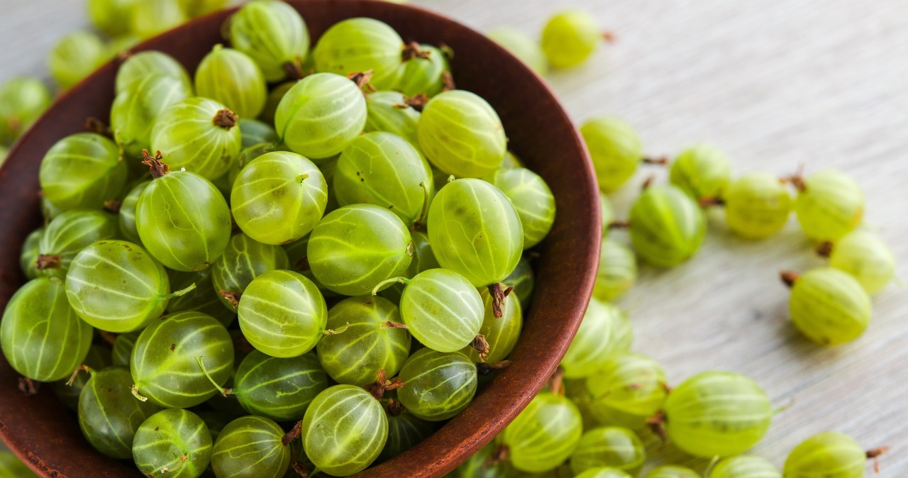 Agrest – zapomniany superowoc. Jak go jeść i co z niego zrobić?