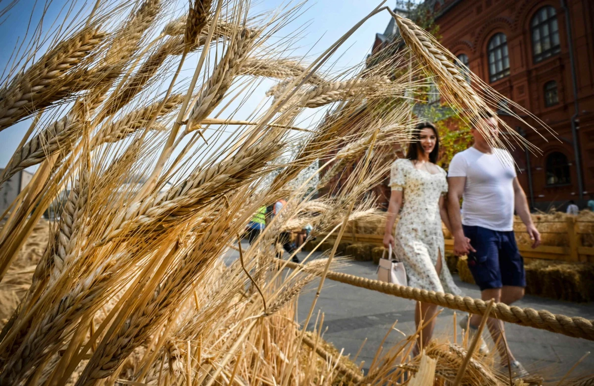 Kraje Unii Europejskiej zdecydowały w czwartek o nałożeniu wyższych ceł na zboża, nasiona oleiste i produkty pochodne sprowadzane z Rosji i Białorusi. Wyższe opodatkowanie ma doprowadzić do zatrzymania importu zbóż z tych krajów do Unii.