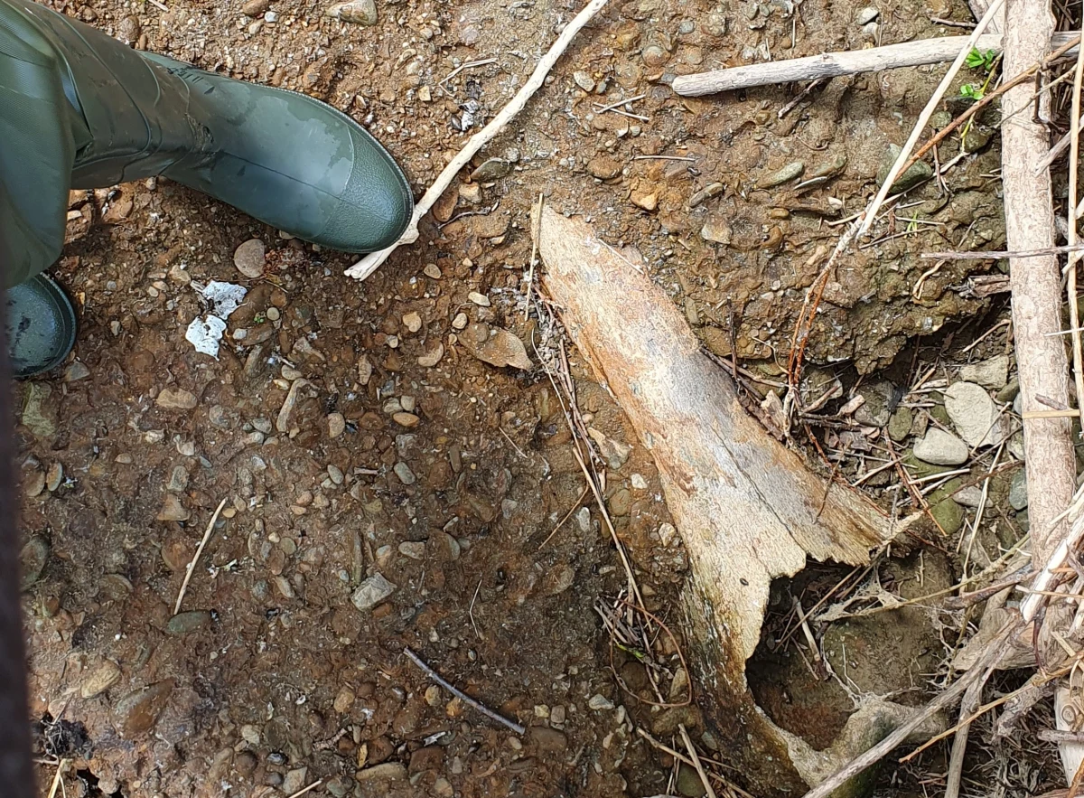 Tego wędkowania nad Rabą nie zapomni nigdy. Tomasz Rosa, wędkarz z Krakowa, zamiast ryb "złowił" ponadmetrową kość mamuta. O niecodziennym znalezisku poinformował służby. Badania tego terenu rozpoczną się na początku czerwca.
