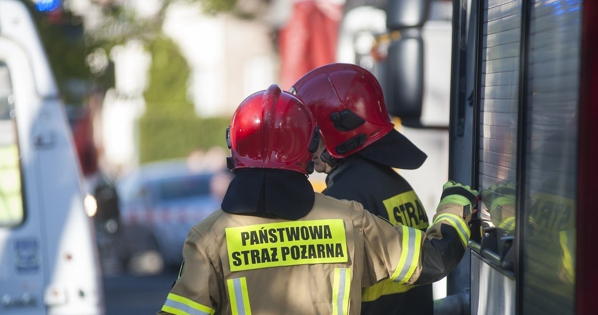 Wielki pożar chlewni. Kilkanaście zastępów w akcji