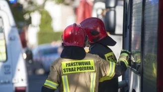 Wielki pożar chlewni. Kilkanaście zastępów w akcji 