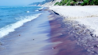Cud natury w Pomorskiem. Piasek na plaży ma fioletowy kolor