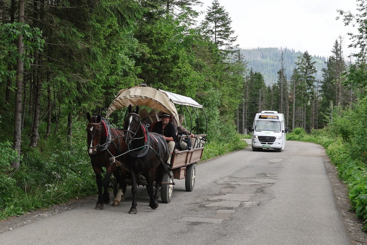 W poniedziałek zakończyły się testy elektrycznego busa na trasie do Morskiego Oka. Choć bateria starczała nawet na wykonanie sześciu kursów dziennie, to mankamentem jest tylko jedno miejsce na wózek inwalidzki oraz bezgłośna praca silnika - piesi turyści nie słyszą nadjeżdżającego pojazdu - ocenił kierowca.

