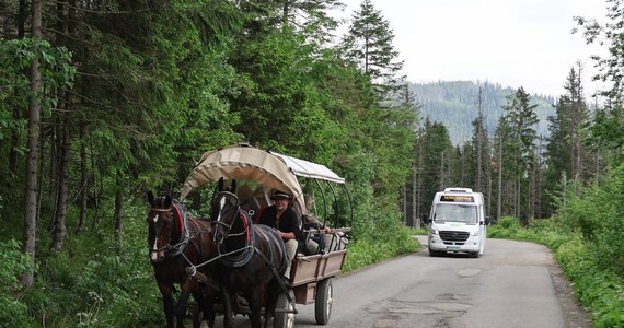 W poniedziałek zakończyły się testy elektrycznego busa na trasie do Morskiego Oka. Choć bateria starczała nawet na wykonanie sześciu kursów dziennie, to mankamentem jest tylko jedno miejsce na wózek inwalidzki oraz bezgłośna praca silnika - piesi turyści nie słyszą nadjeżdżającego pojazdu - ocenił kierowca.

