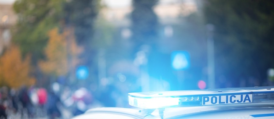 Trzy kobiety w wieku 28, 46 i 72 lat zostały śmiertelnie potrącone w miejscowości Kargowa, w powiecie zielonogórskim. Z nieoficjalnych informacji wynika, że matka, córka i wnuczka miały przechodzić przez jezdnię w miejscu niedozwolonym. Dziś Prokuratura Okręgowa w Zielonej Górze poinformowała, że podejrzanemu sprawcy grozi kara do 8 lat pozbawienia wolności.