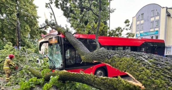 W Żywcu (woj. śląskie) na autobus komunikacji miejskiej przewróciło się drzewo. Poszkodowane zostały trzy osoby, ale ich życiu nie zagraża niebezpieczeństwo. Usuwaniem skutków zdarzenia zajęli się strażacy. Przewrócone drzewo zablokowało drogę.