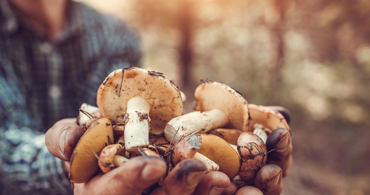 Miała po prostu iść do sklepu. Do domu wróciła ze skarbem w ręku