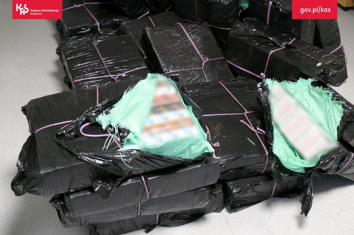 15 tys. paczek papierosów w jednym z wagonów pociągu towarowego wjeżdżającego do Polski z Białorusi znaleźli funkcjonariusze podlaskiej Krajowej Administracji Skarbowej (KAS) z przejścia granicznego w Kuźnicy. Wartość kontrabandy szacuje się na ponad 225 tys. zł. 