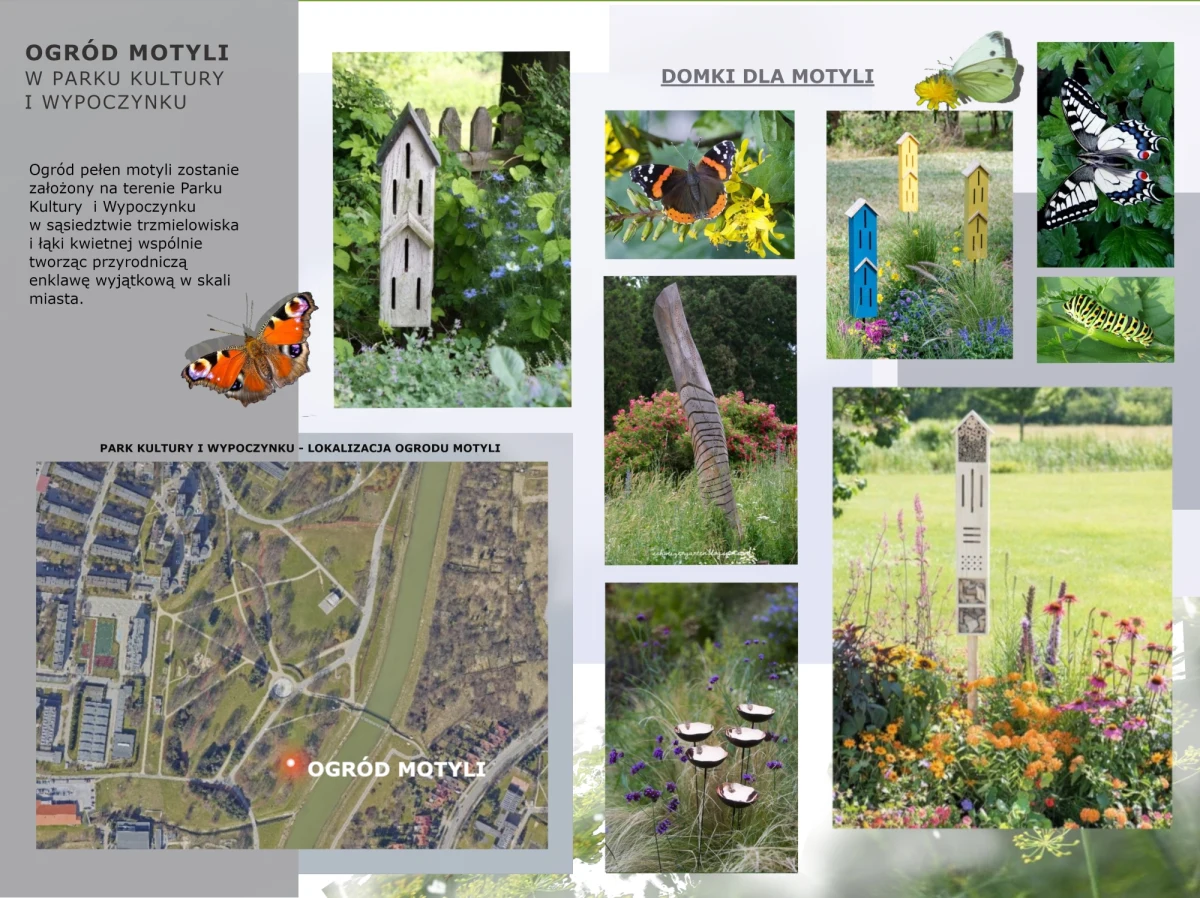 Na bulwarach nad Wisłokiem w Rzeszowie powstanie ogród motyli. Będą w nim zasadzone rośliny przyciągające te piękne owady, m.in.:  astry, kocimiętki i lawendy. To jedna z atrakcji, które sfinansowane zostaną z "Zielonego Funduszu dla Rzeszowa".

