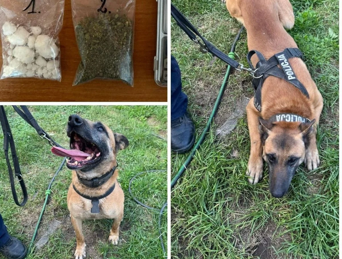 Nawet 4,5 roku więzienia grozi 45-latkowi z gminy Puławy, u którego policjanci znaleźli amfetaminę i marihuanę oraz urządzenie umożliwiające podsłuchiwanie służb. 