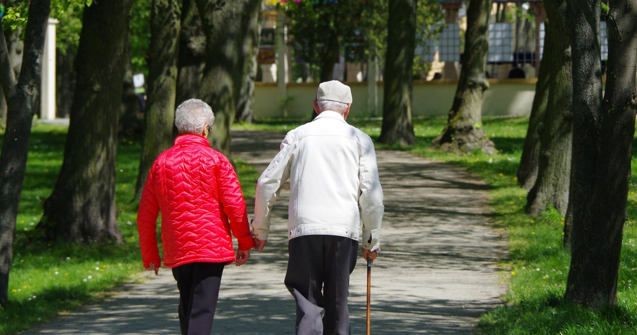 ZUS 350 zł wyśle bez wniosku. Wystarczy, iż masz tyle lat