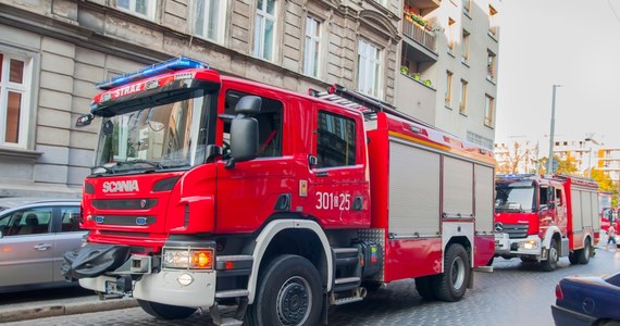 Dwaj nastolatkowie zatrzymani po policyjnym pościgu w Płońsku na Mazowszu. Doszło do niego po tym, jak skradzione auto osobowe, którym jechali, zderzyło się z wozem strażackim, jadącym na sygnale. 