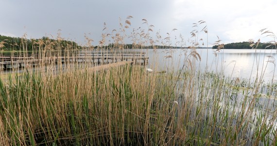 Sąd Najwyższy oddalił kasacje obrońcy i prokuratora ws. skazanego w głośnej sprawie tzw. kanibali znad jeziora Osiek. Obrońca chciał uniewinnienia swego klienta ze względu na nieustalenie tożsamości ofiary i obecność neosędziów w składach orzekających. Prokurator natomiast dowodził współsprawstwa wszystkich mężczyzn, którzy jedli ciało ofiary.