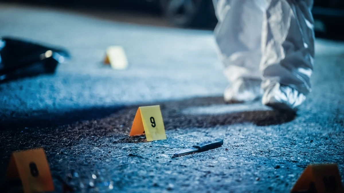 Ciała trzech osób znaleziono w wielkopolskim Stęszewie. Policja podała, że według wstępnych ustaleń małżeństwo zostało zamordowane, a 29-letni syn popełnił samobójstwo.