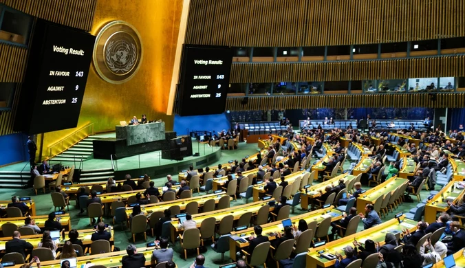 Zmiany w Radzie Bezpieczeństwa ONZ. Pięć nowych państw