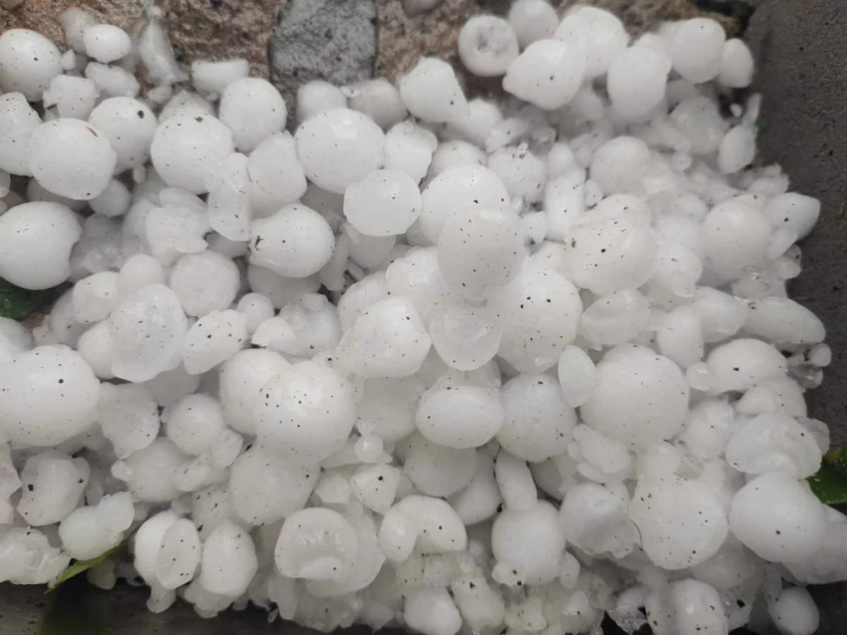 Nawałnice przechodzą przez wschodnią Wielkopolskę - intensywnym opadom deszczu towarzyszy gradobicie i silny wiatr. Strażacy odbierają kolejne zgłoszenia od mieszkańców. Do tej pory interweniowali już ponad 20 razy. 