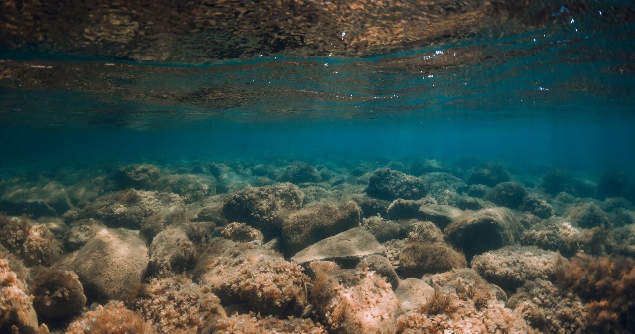Gigantyczny magazyn dwutlenku węgla pod oceanem. Może zmieniać klimat Ziemi