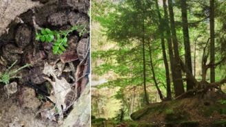 Tego archeolodzy się nie spodziewali. Akcja służb w Lubelskiem