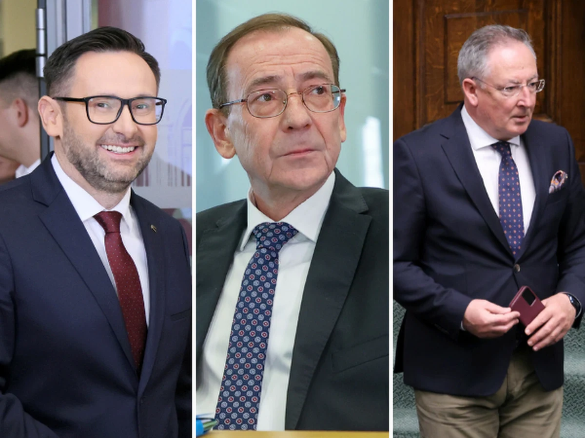 W wyborach do Parlamentu Europejskiego Koalicja Obywatelska zdobyła 21 mandatów, PiS - 19, Konfederacja - sześć, Trzecia Droga (PSL i Polska 2050) - cztery, a Lewica - trzy - wynika z badania exit poll Ipsos dla Polsatu, TVN i TVP. Kto zasiądzie w europarlamencie? 