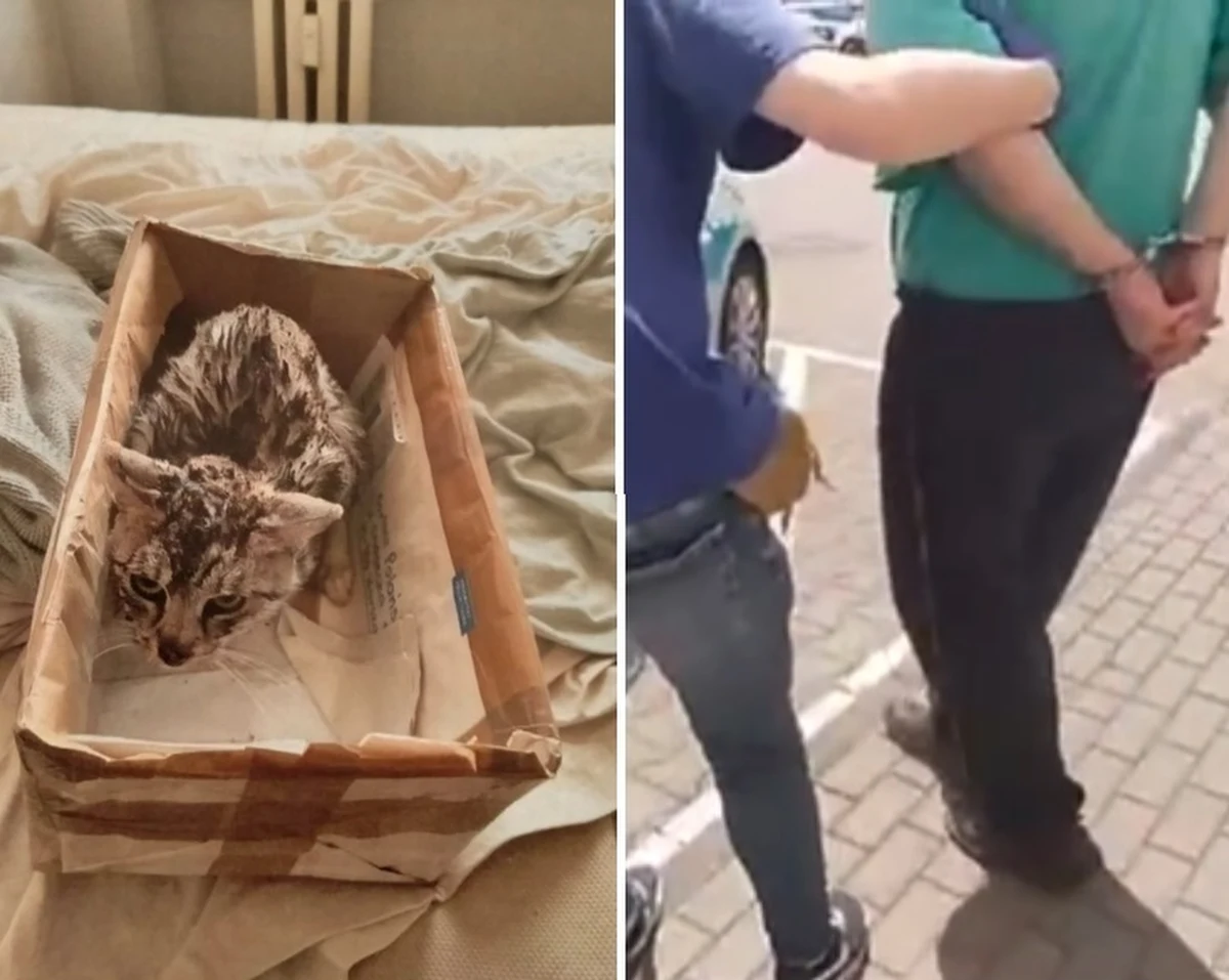 42-latek z warszawskiego Targówka wyrzucił psa przez okno mieszkania na piątym piętrze. Zwierzę nie przeżyło. Gdy zaalarmowani policjanci przybyli na miejsce okazało się, że wcześniej mężczyzna zamknął kota w rozgrzanym piekarniku. To jednak nie koniec bestialstwa, którego się dopuścił.