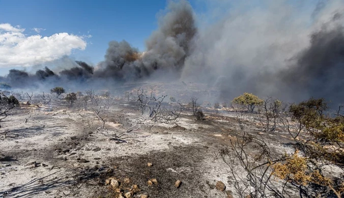 El Niño pomaga szkodliwym cząstkom. Na koncie mają wiele ofiar