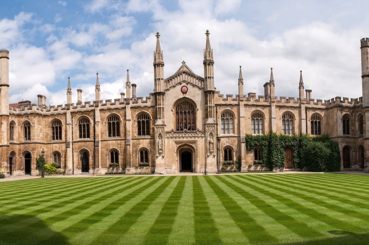 Uczeni z uniwersytetu w Cambridge wyhodowali w warunkach laboratoryjnych ludzkie minijelito. Celem tego eksperymentu są badania nad chorobą Leśniowskiego, która atakuje układ pokarmowy.