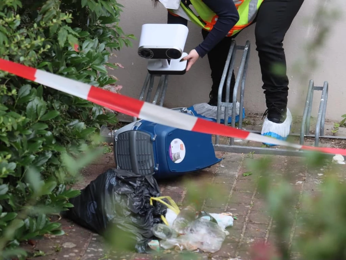 Niespełna dwuletnia dziewczynka została wyrzucona w kocim transporterze z mieszkania na trzecim piętrze w jednej z dzielnic Berlina - podał dziennik "Die Welt". Dziecko na szczęście przeżyło, ale - według doniesień zachodnich mediów - ma połamane ręce i nogi. Rzecznik tamtejszej prokuratury potwierdził na razie, że w wyniku upadku, dziecko doznało "poważnych obrażeń".