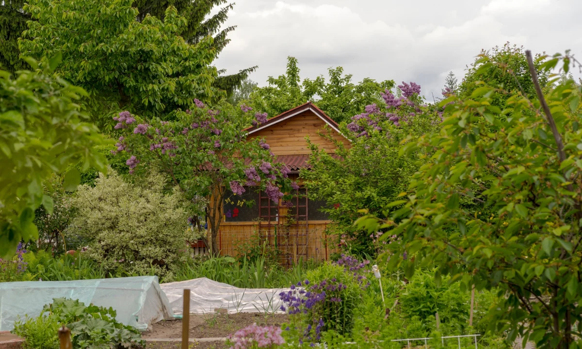 Zarzut zabójstwa i wniosek o areszt dla podejrzanego o śmiertelne ugodzenie nożem 46-latka z Międzychodu w Wielkopolsce. W chwili zatrzymania 45-letni napastnik miał 2,5 promila alkoholu - dowiedział się reporter RMF FM.