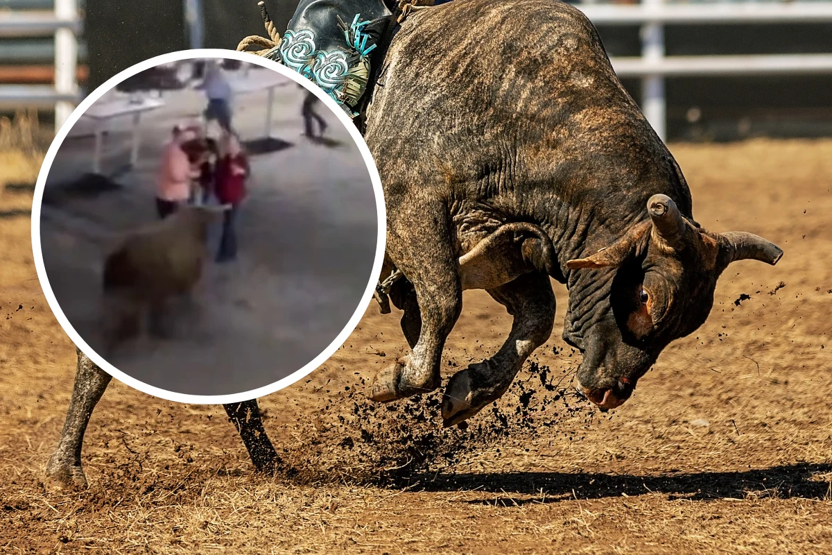 Bardzo niebezpieczny incydent podczas rodeo w Oregonie w USA. W pewnym momencie rozwścieczony byk przeskoczył barierki i zaczął taranować ludzi. Rannych zostało pięć osób. W mediach społecznościowych pojawiło się nagranie.