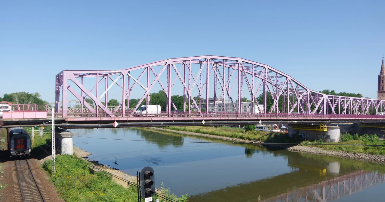  Śnięte ryby znowu w Odrze. Zaczął się masowy pomór