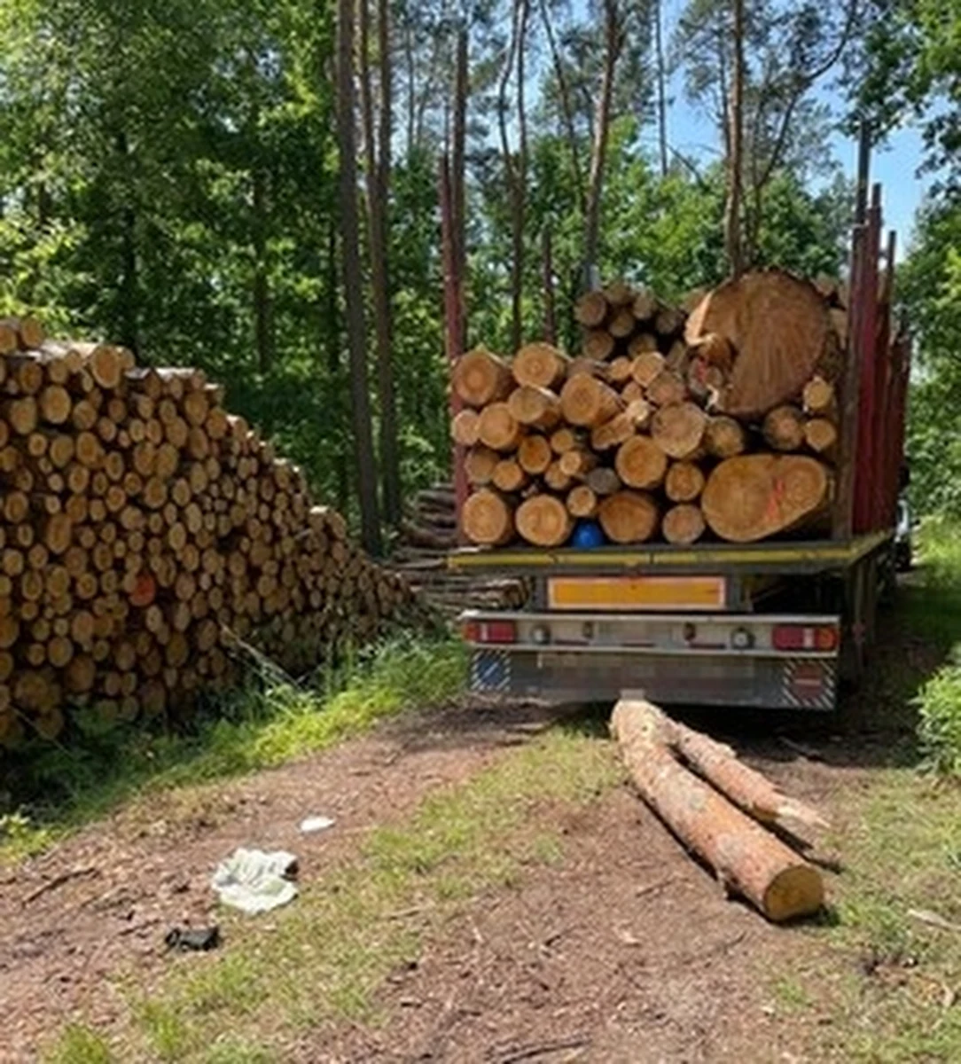 28-latek, który podczas załadunku drewna na przyczepę ciężarową został uderzony kłodą drewna w głowę, trafił do szpitala. Do wypadku doszło wczoraj w kompleksie leśnym w m. Brzozowica Duża na Lubelszczyźnie.

