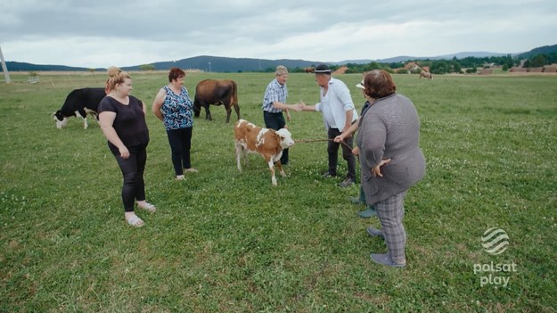 Od zarania dziejów na najwyższych szczytach żyje odosobniona społeczność. Stanowią najbardziej niezwykłą i odrębną grupę etniczną w Polsce. Wyróżnia ją gwara, oryginalne stroje, muzyka, kultura, architektura, zwyczaje i hardy charakter. Od wieków w ten sam sposób juhasi wypasają owce a kobiety wyrabiają oscypek. Serial „Górale” opowiada o tym jak czas zatrzymał się w Górach. Ludzie gór maja spokój wewnętrzny, wiedzą że nic nie muszą, nigdzie się nie spieszą – akceptują co im daje los, żyją w symbiozie z naturą, górami oraz porami roku. Jak mówi Staszek, jeden z bohaterów serii – „Aby tak żyć trzeba się urodzić w górach, albo sobie na takie życie zasłużyć.” Cykl „Górale” ukazuje życie ludzi gór, kamera towarzyszy im przy pracy, przy wypoczynku. Widzowie będą mogli przezywać z bohaterami ich radość, jak również obserwować porażki.