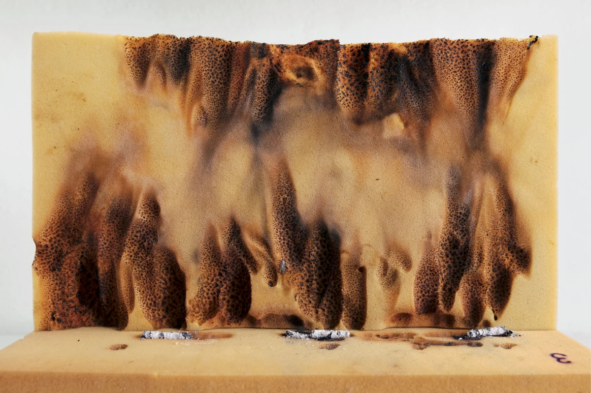 40 wystaw, koncerty, pokazy filmowe i spotkania - tak w fotograficznym skrócie prezentuje się 23. Międzynarodowy Festiwal Fotografii w Łodzi. Impreza co roku pokazuje najciekawsze postaci oraz zjawiska krajowej i światowej współczesnej fotografii. W tym roku nowinką jest pierwsza w Polsce wystawa o fotografii dla dzieci zatytułowana: "Fotografia jest wszędzie". 