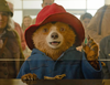 Zobacz trailer: Paddington w Peru