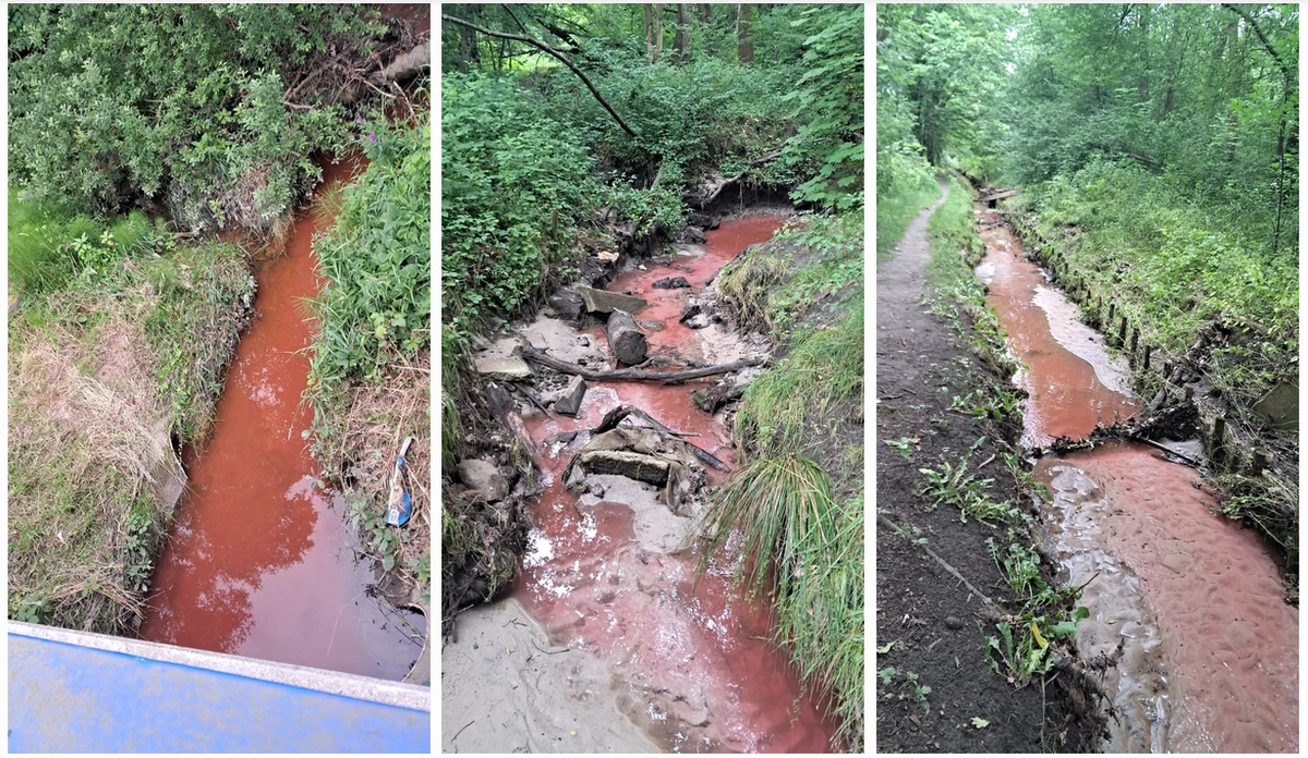 Woda w potoku Rzewnym w Borku Fałęckim jest czerwona. To nie jedyny taki przypadek w Małopolsce. O dwóch nietypowych interwencjach poinformowała Wojewódzka Inspekcja Ochrony Środowiska.