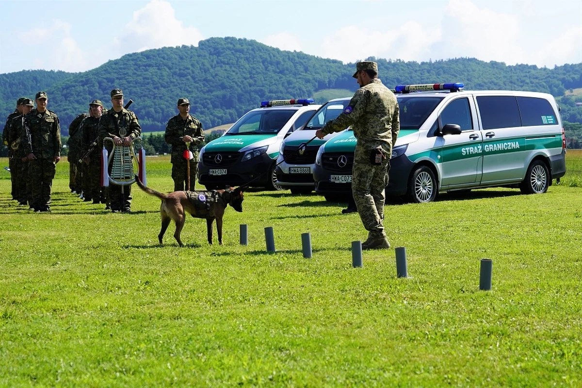 Najliczniejsza do tej pory grupa psów saperskich - dwanaście owczarków - została przekazana ukraińskim przewodnikom. Zwierzęta trafią do batalionu rozminowywania sił zbrojnych Ukrainy. 