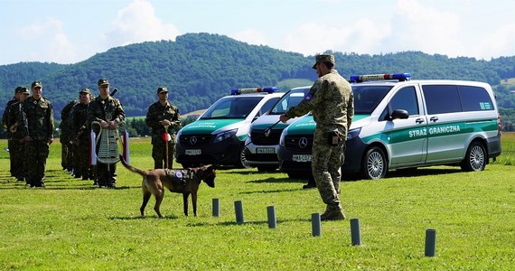 Najliczniejsza do tej pory grupa psów saperskich - dwanaście owczarków - została przekazana ukraińskim przewodnikom. Zwierzęta trafią do batalionu rozminowywania sił zbrojnych Ukrainy. 