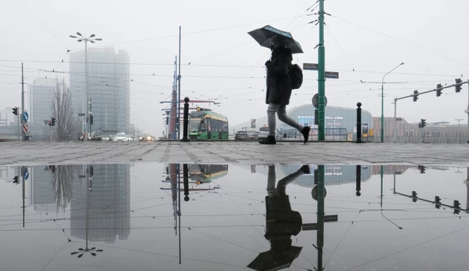 Ulewne deszcze i burze nad Polską. Mnożą się ostrzeżenia IMGW