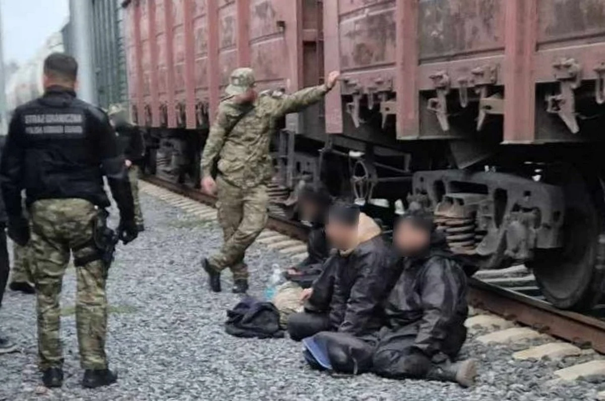 Czterech migrantów próbowało nielegalnie dostać się z Białorusi do Polski, ukrywając się w pociągu towarowym. Próbę udaremnili funkcjonariusze KAS z kolejowego przejścia granicznego w Kuźnicy (Podlaskie); cudzoziemcy zostali przekazani Straży Granicznej.