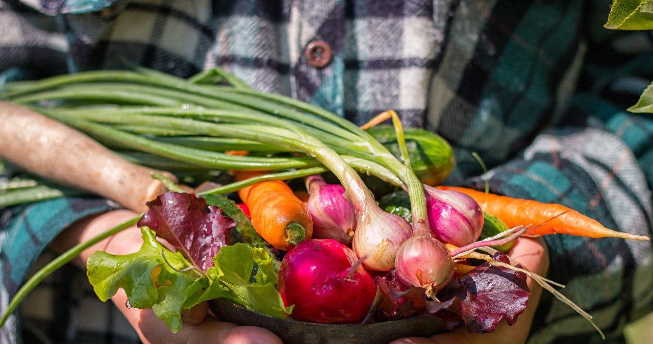 Najzdrowsze warzywa na świecie. Są kopalnią witamin, przeciwutleniaczy, świetnym źródłem żelaza