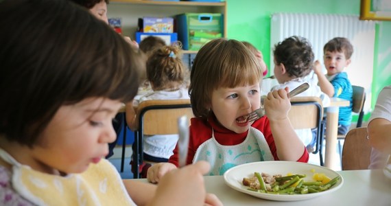 Zakażenie bakterią Salmonella wykryto u trójki dzieci w jednym z przedszkoli w warszawskiej dzielnicy Bielany. Objawy zatrucia pokarmowego pojawiły się pod koniec ubiegłego tygodnia u blisko 90 przedszkolaków.