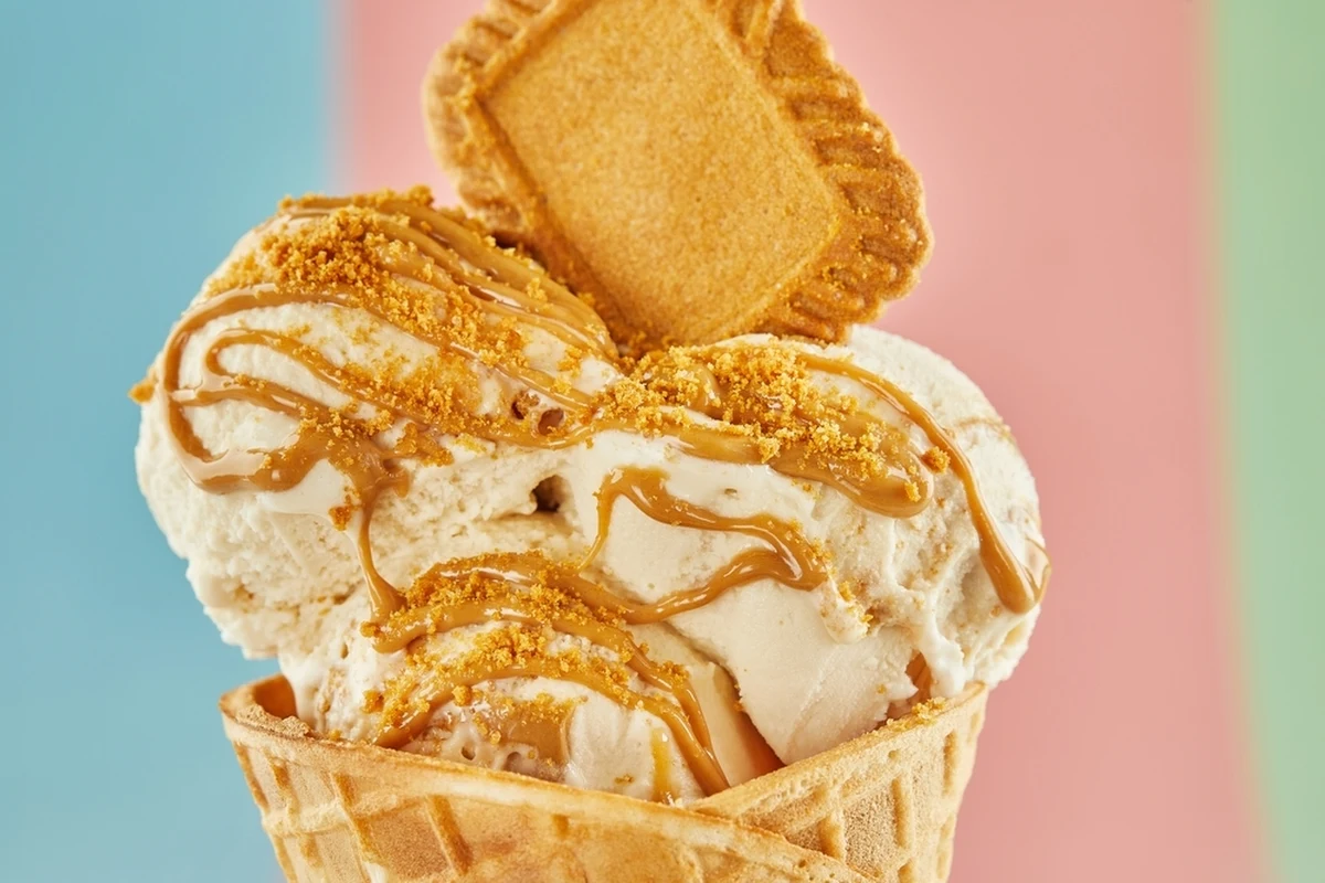 Chyćka, a także Cud, miód i orzeszki - to część smaków lodów w rodzinnej lodziarni w Baborowie na Opolszczyźnie, dzięki którym uznano ją za najlepszą w Polsce w rankingu Gelato Festival. O tym, jak smakują lody o niezwykłych nazwach, opowiedział w internetowym Radiu RMF24 Tomasz Szypuła, właściciel lodziarni.