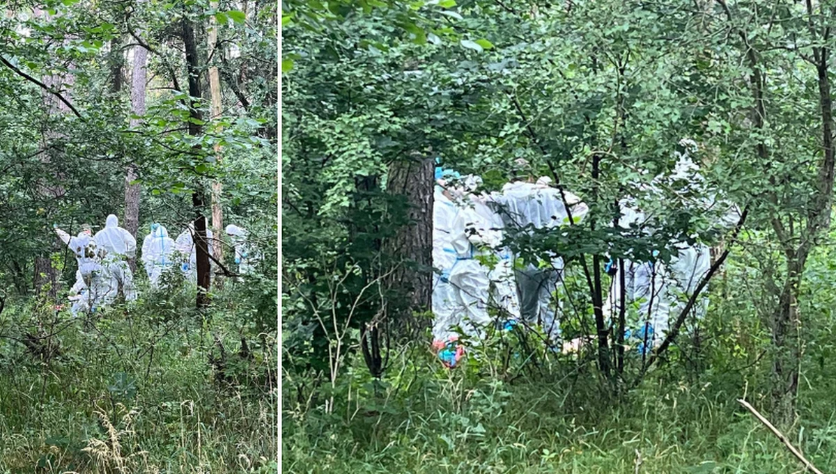 Wielkopolscy policjanci ze specjalnej grupy odnaleźli zwłoki poszukiwanej 39-letniej Natalii. Ciało odkryto w kompleksie leśnym na przedmieściach Poznania. Funkcjonariusze zatrzymali męża 39-latki. Kobieta zaginęła pięć dni wcześniej.