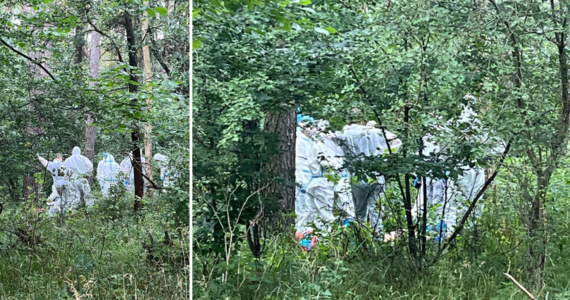 Wielkopolscy policjanci ze specjalnej grupy odnaleźli zwłoki poszukiwanej 39-letniej Natalii. Ciało odkryto w kompleksie leśnym na przedmieściach Poznania. Funkcjonariusze zatrzymali męża 39-latki. Kobieta zaginęła pięć dni wcześniej.