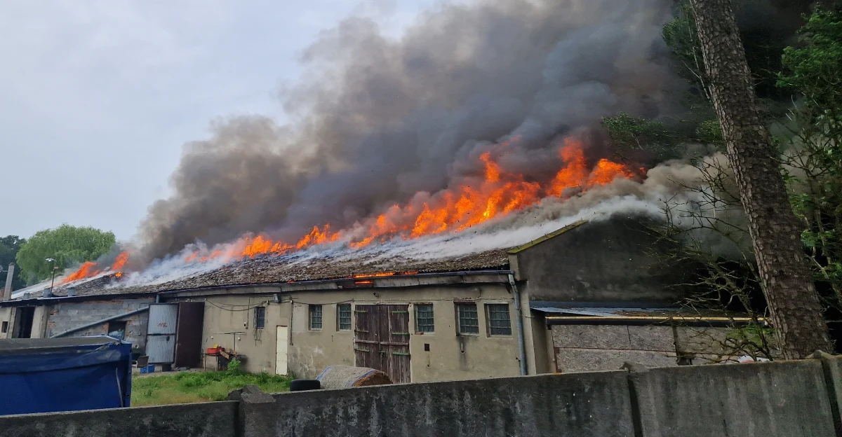 Strażacy dogaszają pożar hali przy ul. Słonecznej w Trzebiechowie (woj. lubuskie). W budynku były mieszkania dla obcokrajowców. 
