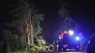 Ofiara nawałnicy przy granicy z Polską. Drzewo przygniotło mężczyznę