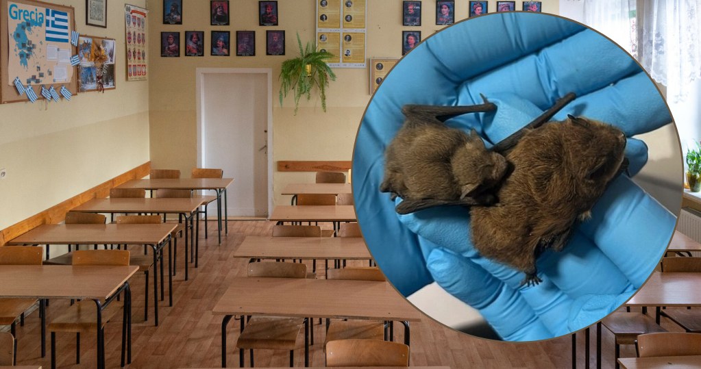 Niecodzienna wizyta w szkole. Na miejscu interweniowały służby